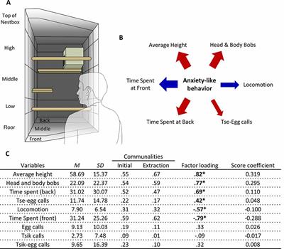 Avoidant Coping Style to High Imminence Threat Is Linked to Higher Anxiety-Like Behavior